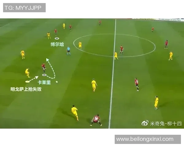 深圳篮球队阵地战体系解析与战术运用研究